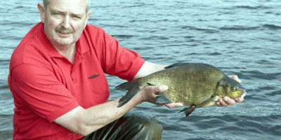 Kevin Gray 1.gif